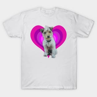 Gorgeous Jack Russell pup on a rainbow heart T-Shirt